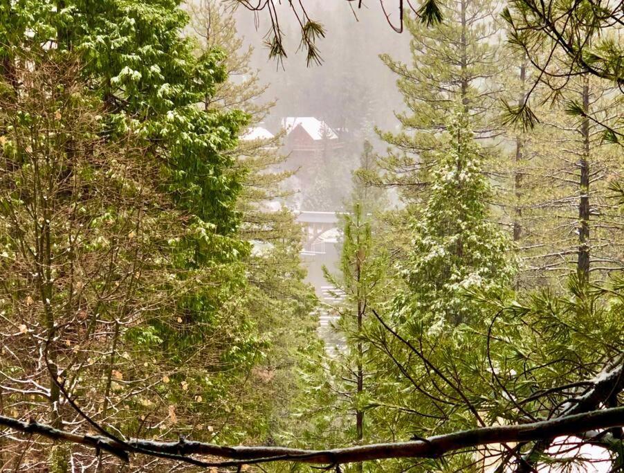 Glimmer Chalet Treetop A-Frame Cabin Lake View Lake Arrowhead Exterior photo